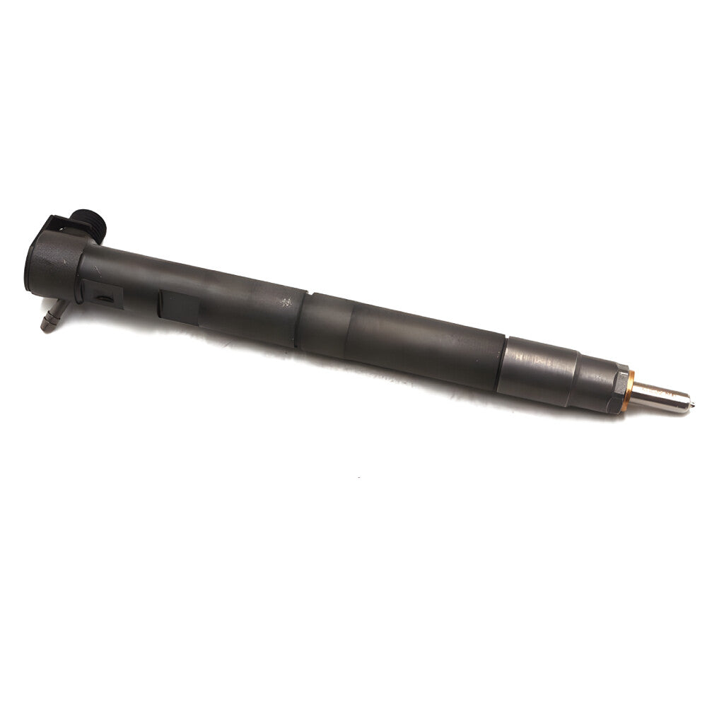 Common Injector 28230891 Fuel Injector assy A6510701387 For MERCEDES BENZ OM651