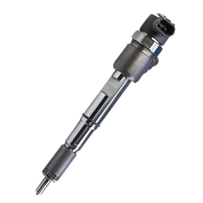 0445110409 Common Rail Diesel Fuel Injector for BAW Fenix 1065 3.2 88kW 04/2008