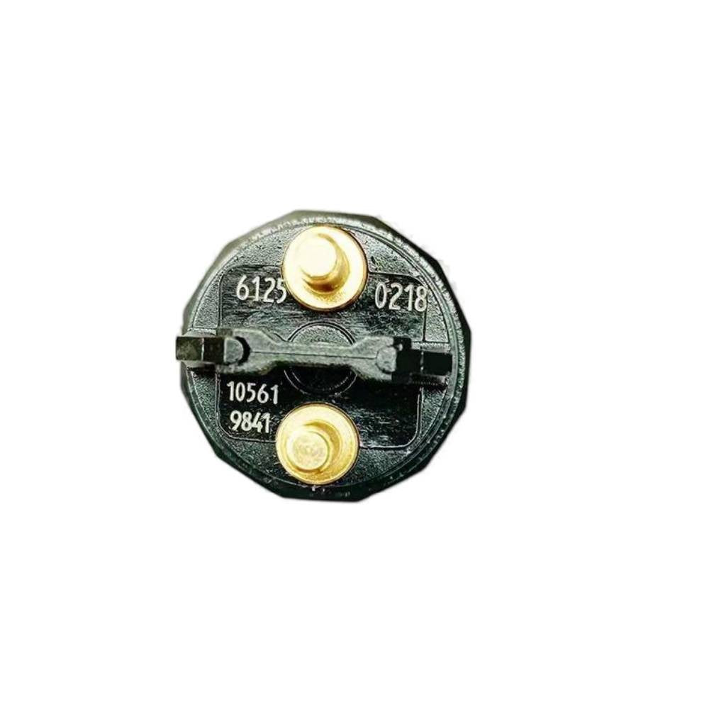 0445120218 51101006125 Common Rail Diesel Fuel Injector for MAN TAG TGA TGS