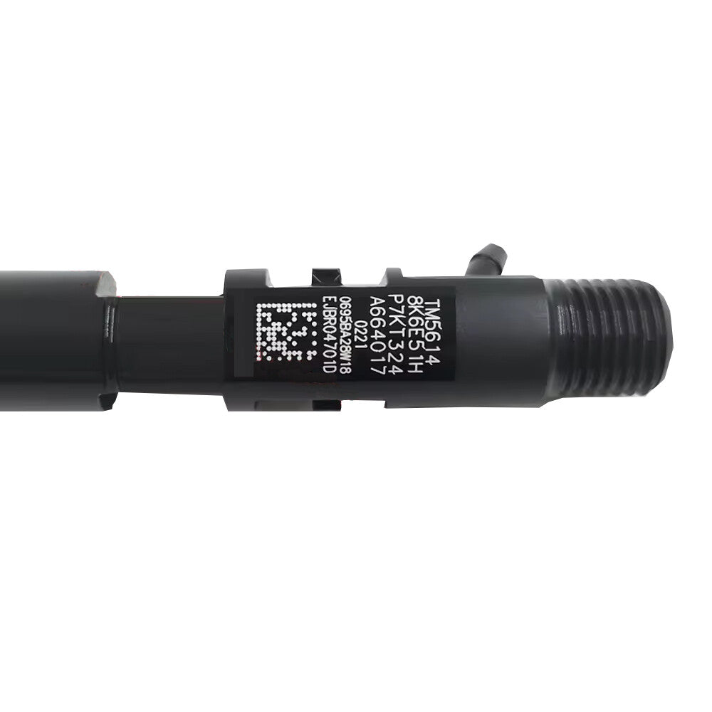 Fuel Injector Nozzle 6640170221 R04701D/R03401D For Ssangyong Actyon 2.0 X
