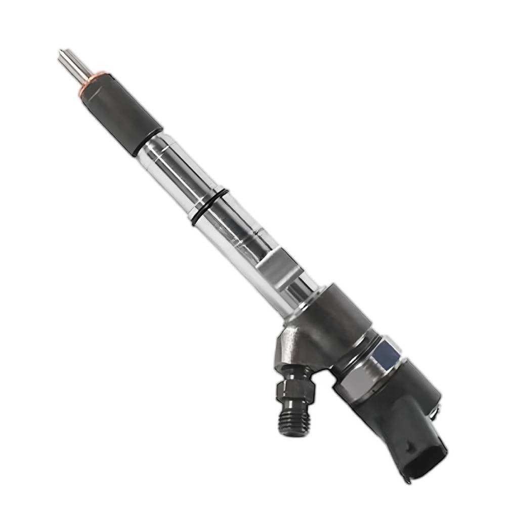 0445110445 0445110466 0445110313 Fuel Injection for JAC Foton 4JB1-2.8L 4DA1-2B