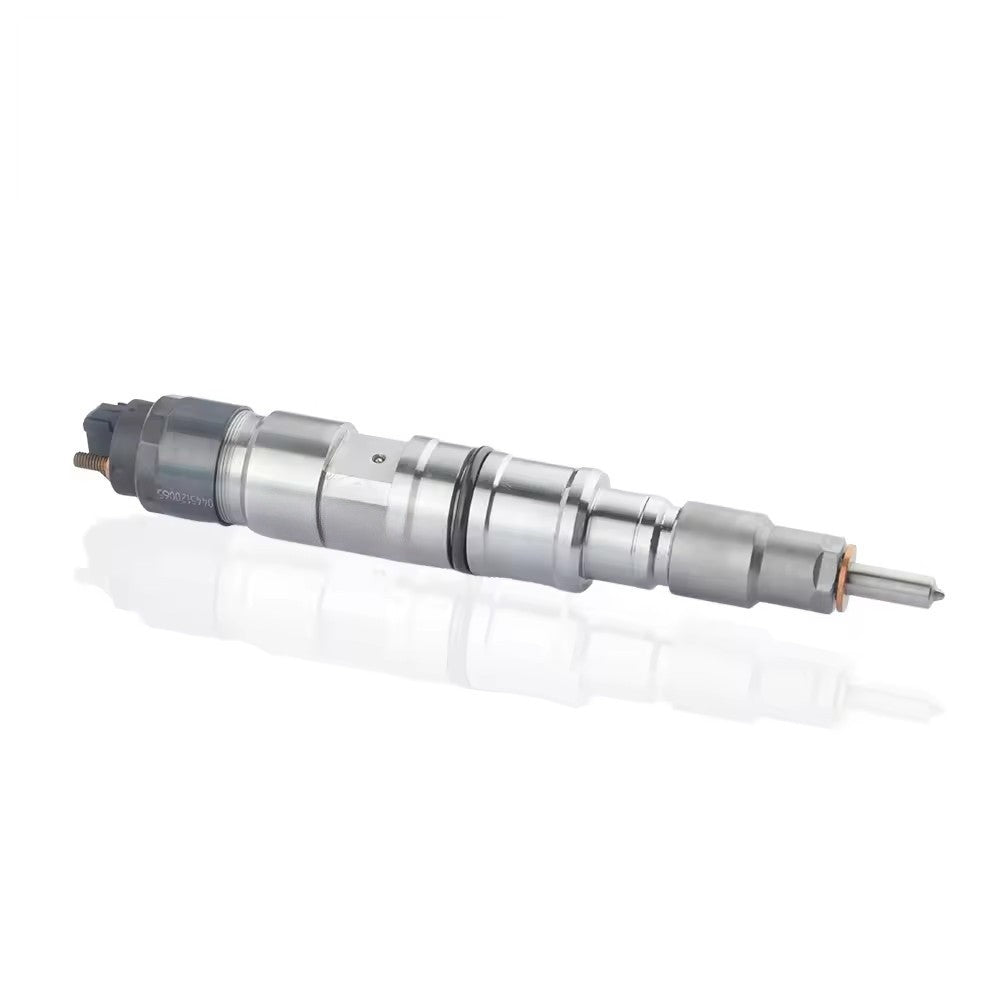 0445120065 F339202710060 4290988 Common Rail Fuel Injector for Bosch FENDT KHD