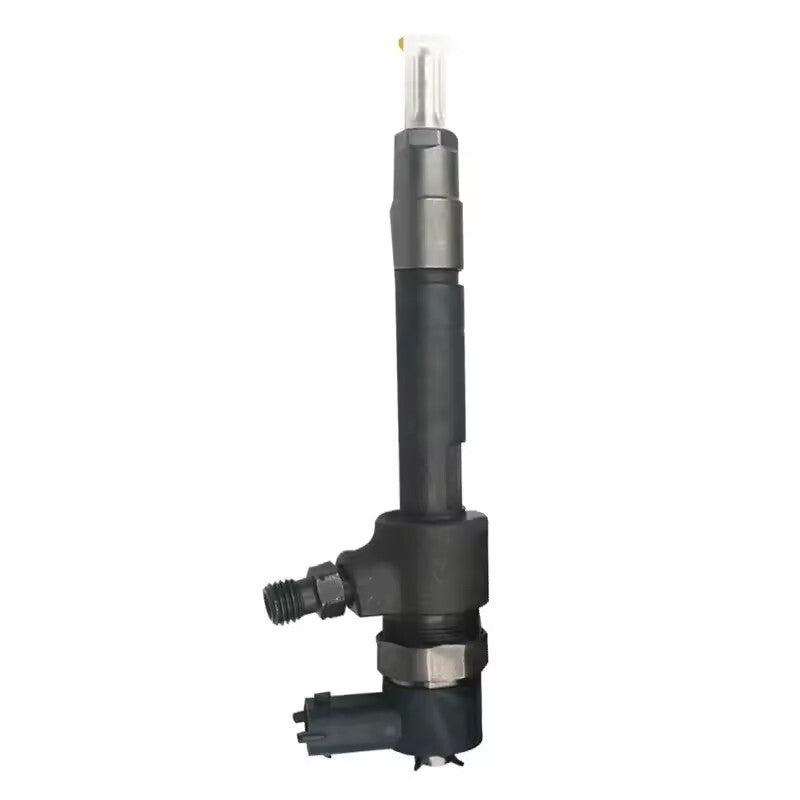 0445110231 Common Rail Diesel Fuel Injector 0445110231 for MWM-BR Truck