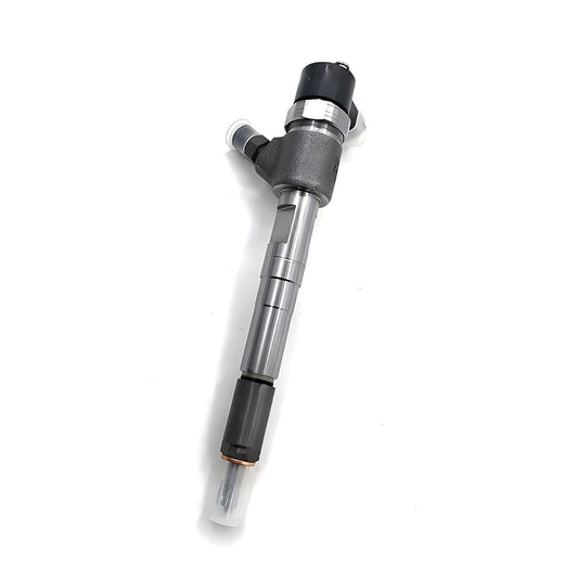 0445110309 50100900 Common Rail Diesel Fuel Injector for LOMBARDINI