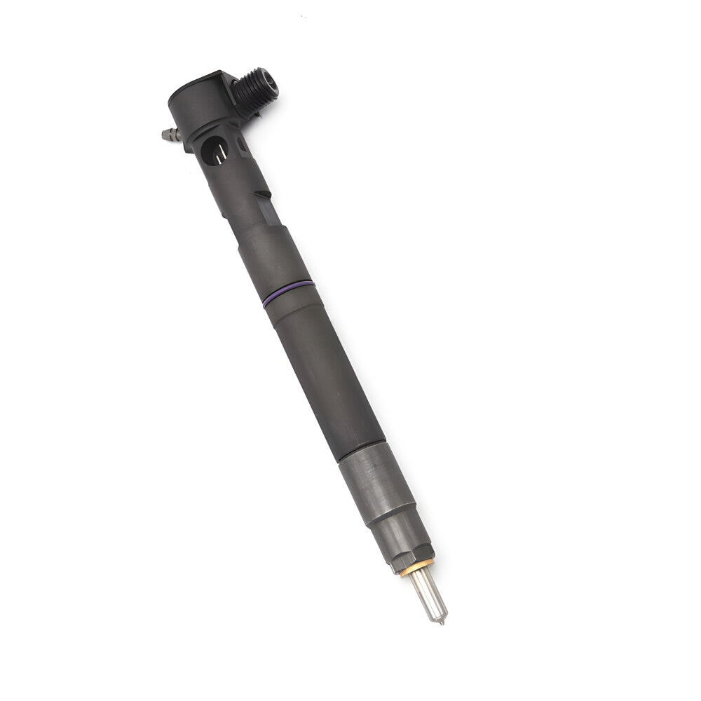Common Injector 28230891 Fuel Injector assy A6510701387 For MERCEDES BENZ OM651