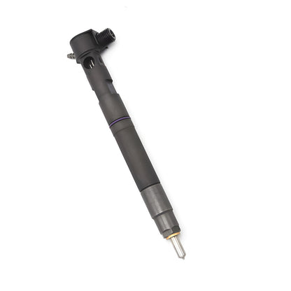 Common Injector 28230891 Fuel Injector assy A6510701387 For MERCEDES BENZ OM651