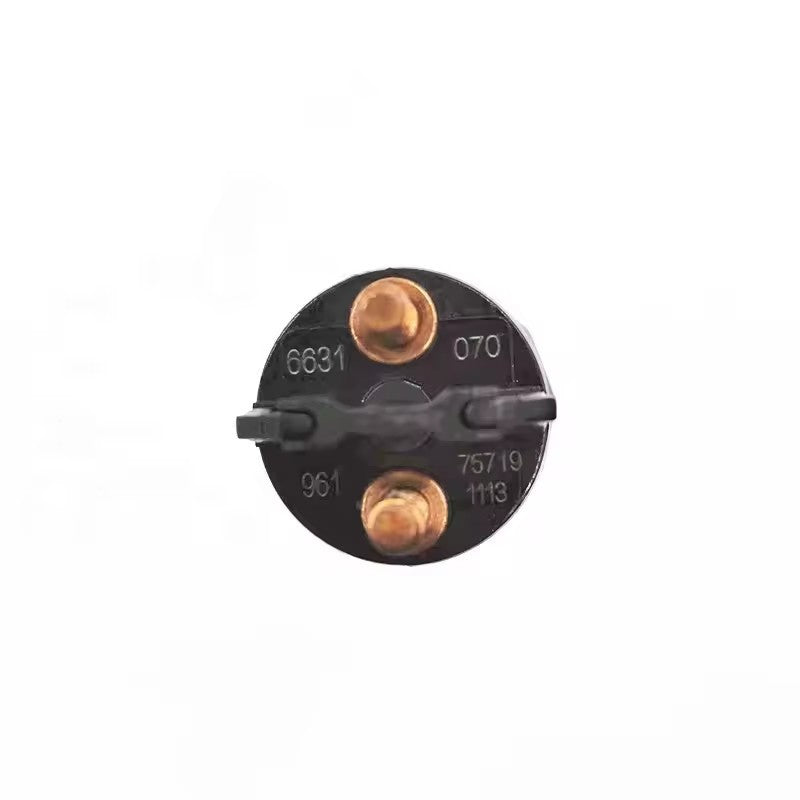 0445120070 3976631 Fuel Injector for Cummins ISLE 8.9L Kamaz 6520-19 8.9L KAMAZ
