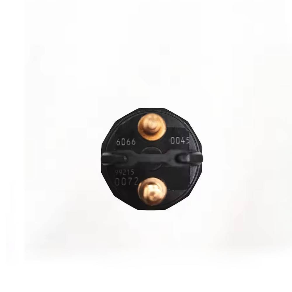 0445120045 51101006050 Diesel Fuel Injector For MAN Truck TGA-24-480